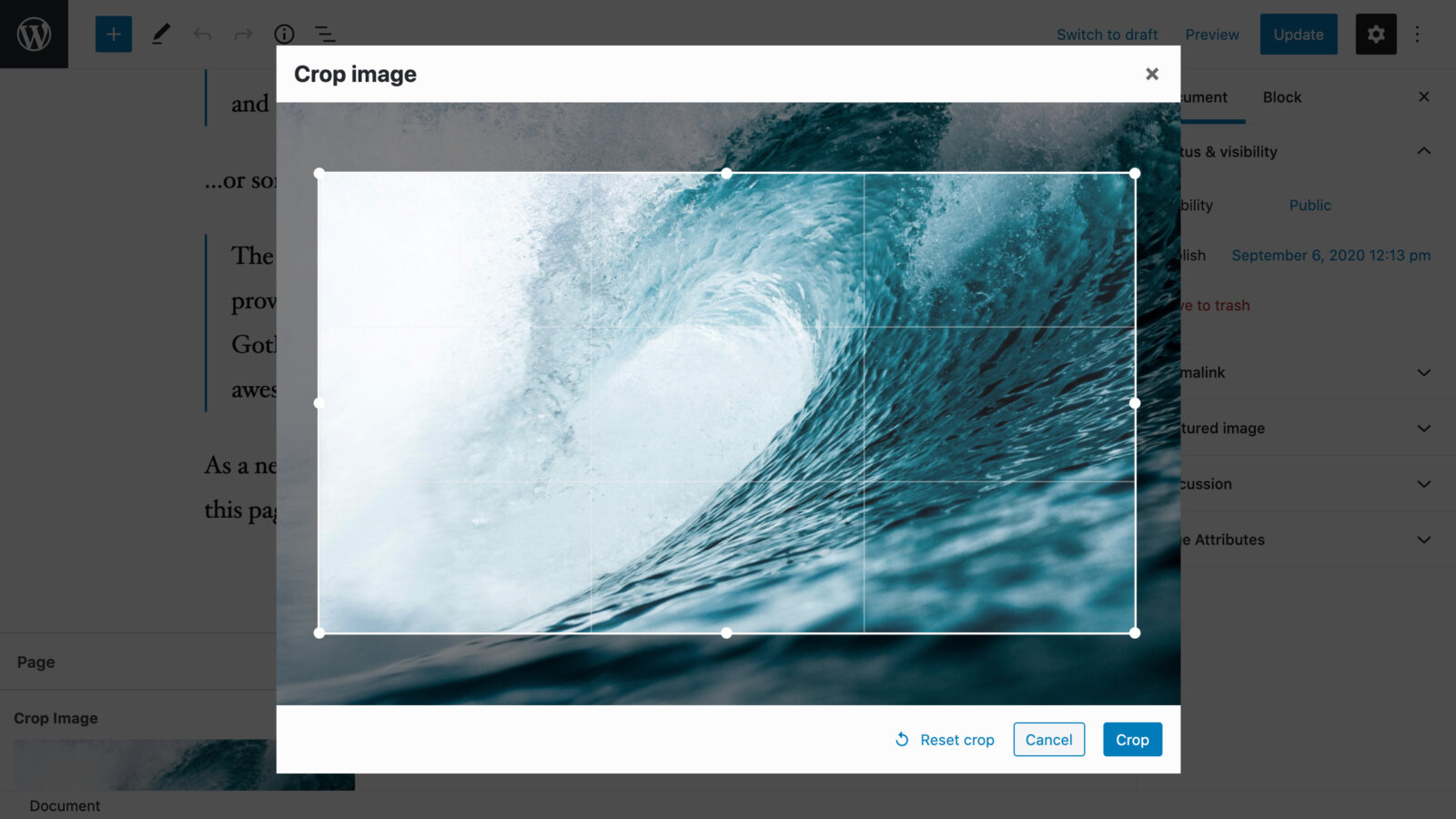 ACF Image Aspect Ratio Crop – siipo.la